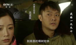 电视剧我的,共筑情感家园