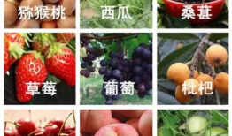 吃瓜网51爆料扬州,吃瓜网51爆料带你领略扬州特色小吃